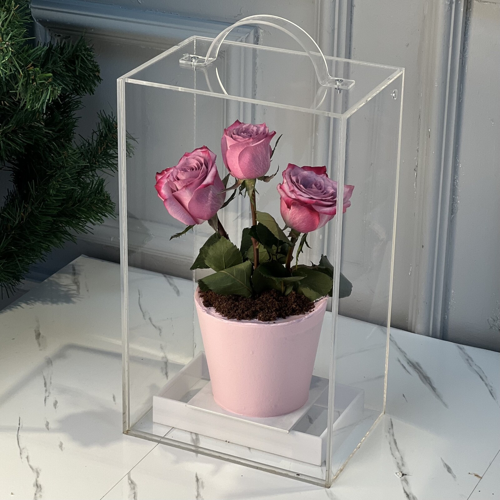 Pembe Güllü Saksıda Çiçek Pasta (Özel Tasarım Kutu)