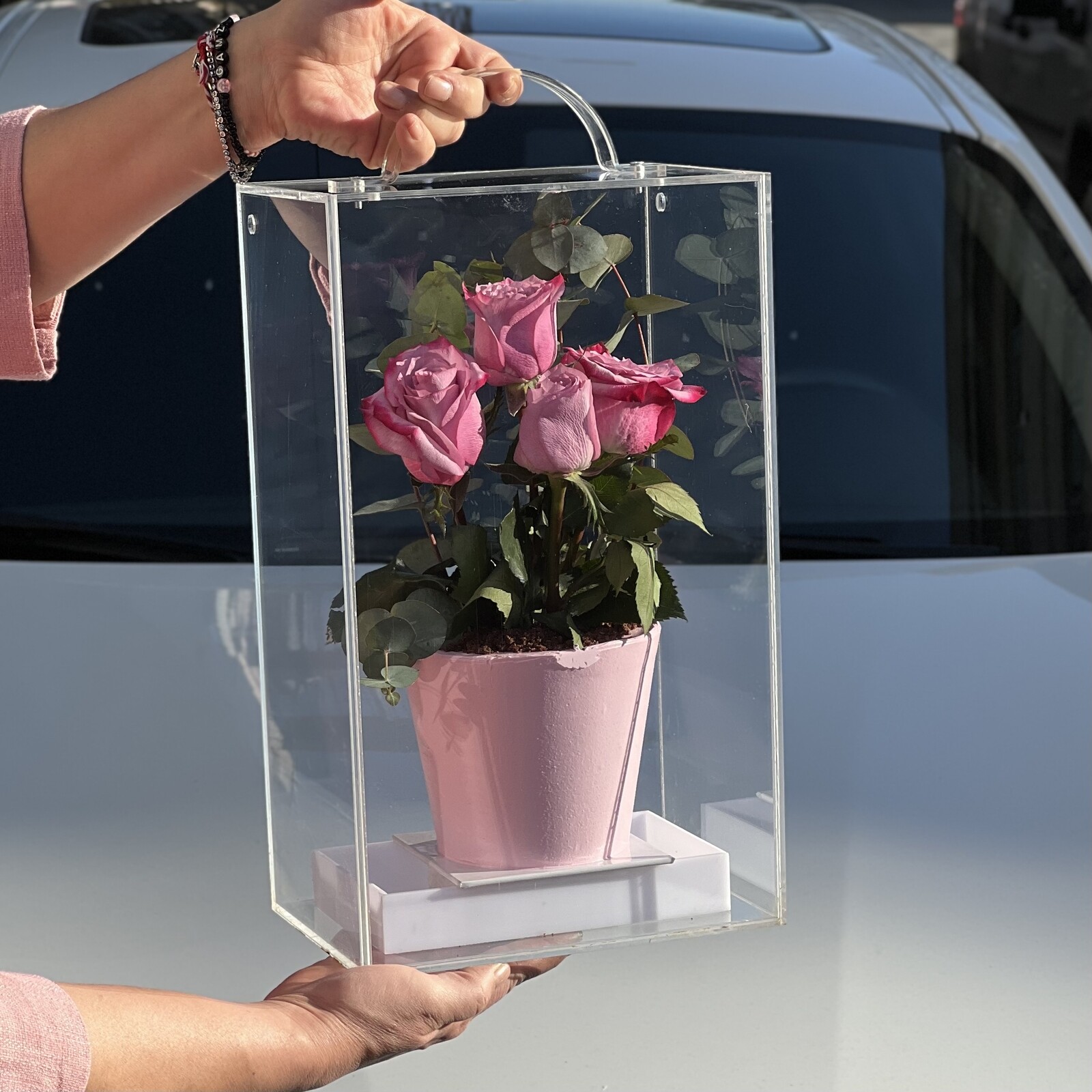 Pembe Güllü Saksıda Çiçek Pasta (Özel Tasarım Kutu)