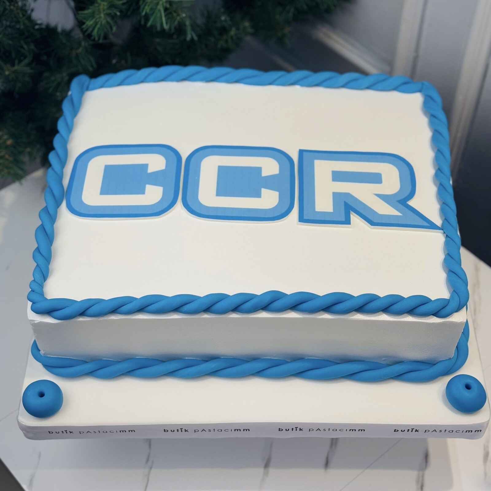 Resimli Kurumsal Pasta