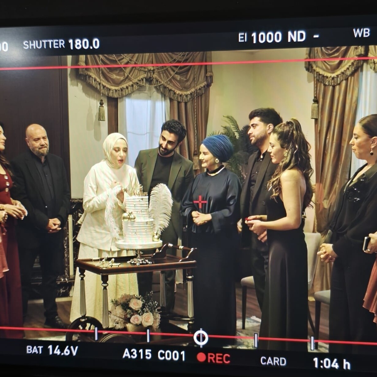 Tüy Detaylı Özel Tasarım Pasta (Kızılcık Şerbeti Nursemanın Pastası)