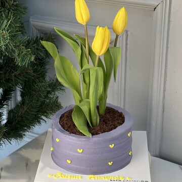 Anneler Günü Pastası (Saksıda Sarı Lale Pasta)