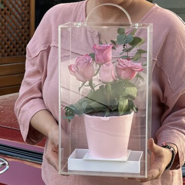 Pembe Güllü Saksıda Çiçek Pasta (Özel Tasarım Kutu)